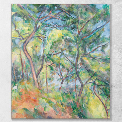 Sottobosco Paul Cézanne pcz209 quadro stampato su tela