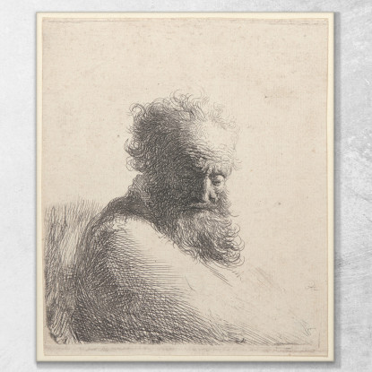 Busto Di Un Vecchio Uomo Barbuto Che Guarda In Basso Rembrandt van Rijn rvr31 quadro stampato su tela