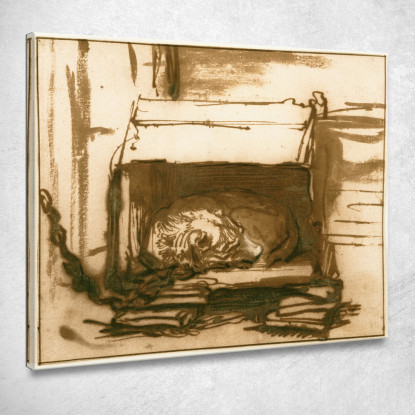 Cane Da Guardia Dormiente Rembrandt van Rijn rvr189 quadro stampato su tela