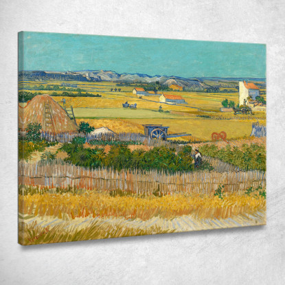 Il Raccolto Vincent van Gogh vvg3 quadro stampato su tela