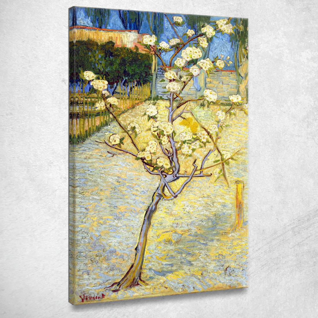 Piccolo Pero In Fiore Vincent van Gogh vvg8 quadro stampato su tela