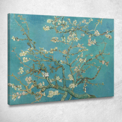 Fiori Di Mandorlo Vincent van Gogh vvg16 quadro stampato su tela