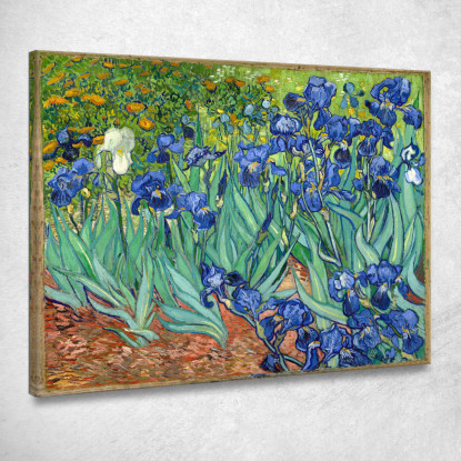 Iride 1889 Vincent van Gogh vvg18 quadro stampato su tela