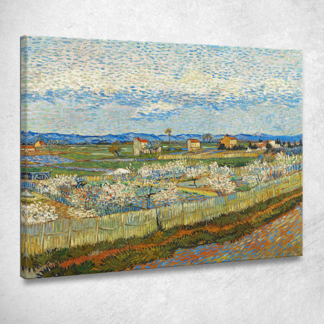 Peschi In Fiore Vincent van Gogh vvg48 quadro stampato su tela