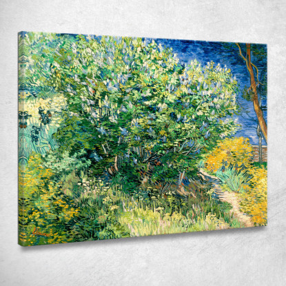 Cespuglio Di Lillà Vincent van Gogh vvg63 quadro stampato su tela