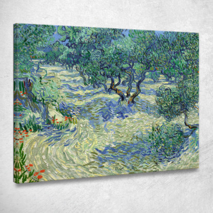 Frutteto Di Ulivi Vincent van Gogh vvg67 quadro stampato su tela