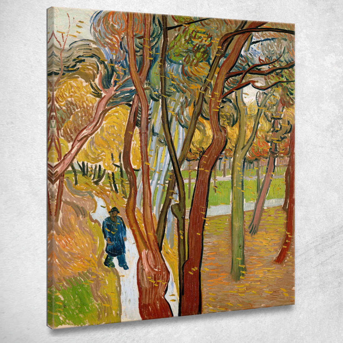 Il Giardino Dell'Ospedale Saint Paul Vincent van Gogh vvg168 quadro stampato su tela