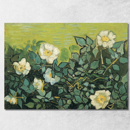 Rose Selvatiche Vincent van Gogh vvg179 quadro stampato su tela