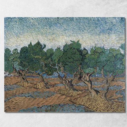 Uliveto Vincent van Gogh vvg246 quadro stampato su tela