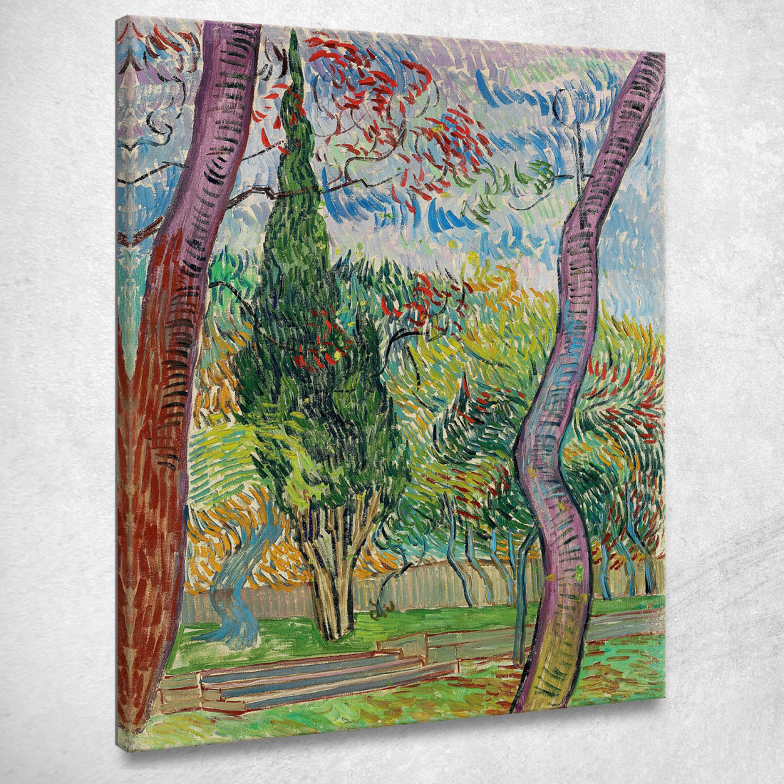 Parco Dell'Ospedale Saint-Paul Vincent van Gogh vvg252 quadro stampato su tela