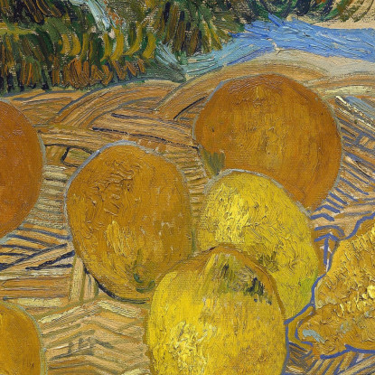 Natura Morta Di Arance E Limoni Con Guanti Blu Vincent van Gogh vvg276 quadro stampato su tela