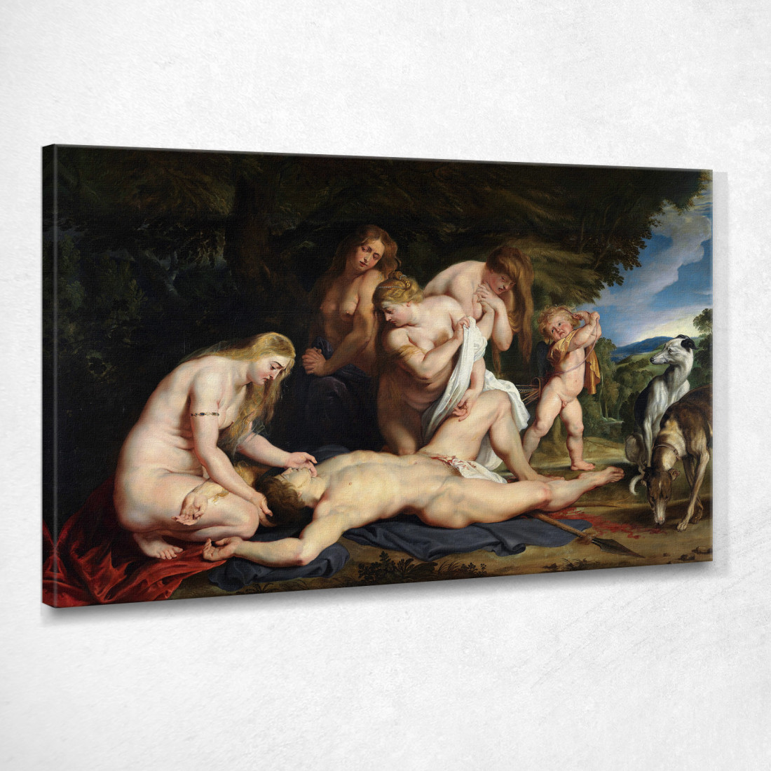 La Morte Di Adone Con Venere Cupido E Le Tre Grazie Peter Paul Rubens ppr224 quadro stampato su tela