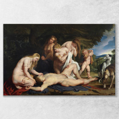 La Morte Di Adone Con Venere Cupido E Le Tre Grazie Peter Paul Rubens ppr224 quadro stampato su tela