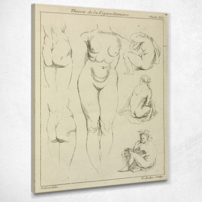 Studies Of The Female Torso Buttocks And Seated Figures Dorsal View Peter Paul Rubens canvas print