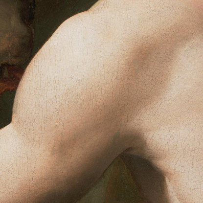 Ritratto Di Cosimo I De Medici Come Orfeo Agnolo Bronzino abz12 quadro stampato su tela