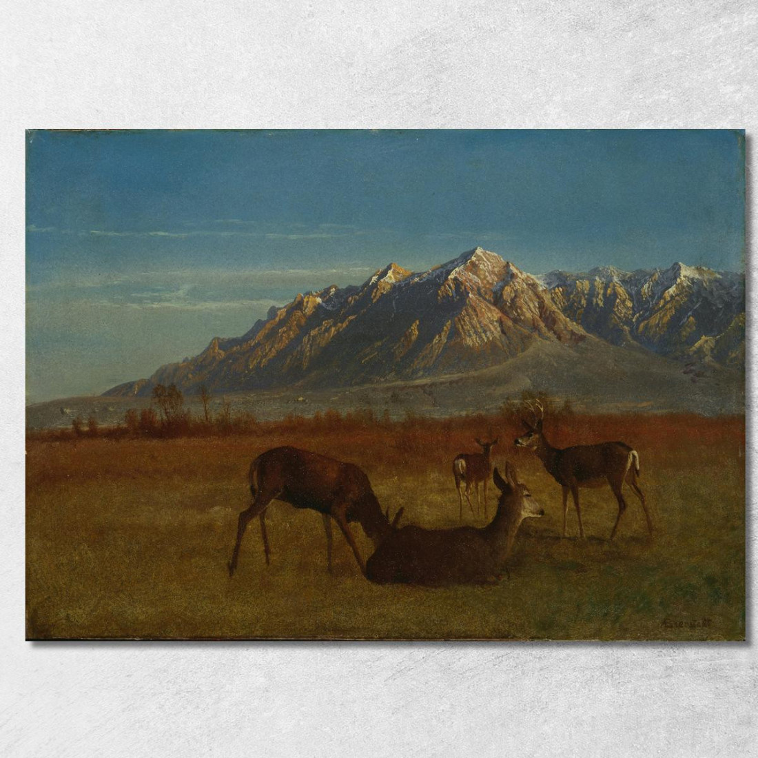 Cervi Nella Casa Di Montagna Albert Bierstadt abr19 quadro stampato su tela