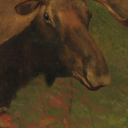 Studio Di Un Alce Albert Bierstadt abr94 quadro stampato su tela