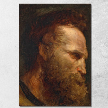 Studio Della Testa Di Un Uomo Barbuto 2 Anthony van Dyck avd32 quadro stampato su tela