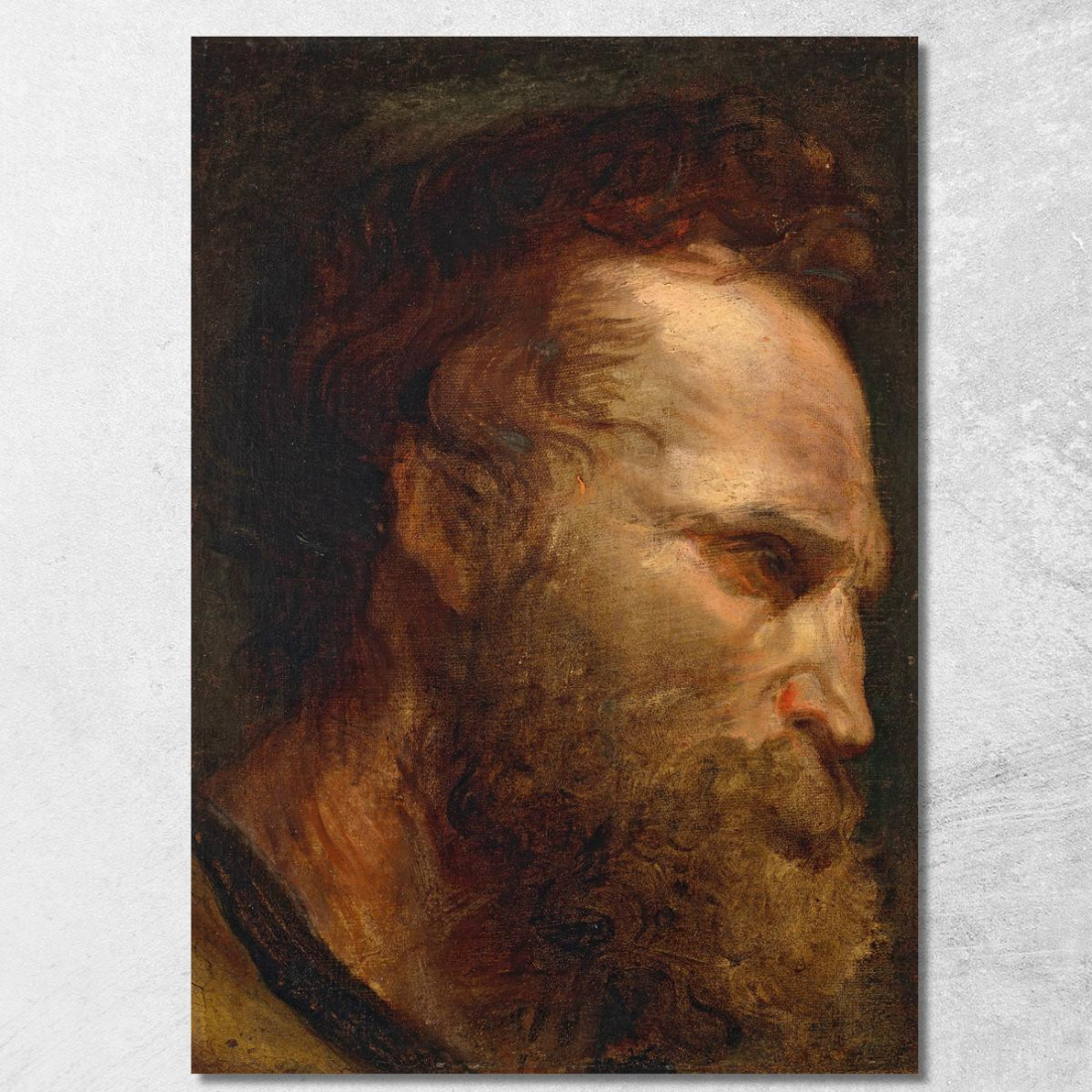 Studio Della Testa Di Un Uomo Barbuto 2 Anthony van Dyck avd32 quadro stampato su tela