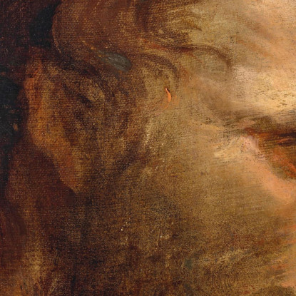 Studio Della Testa Di Un Uomo Barbuto 2 Anthony van Dyck avd32 quadro stampato su tela