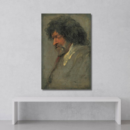 Studio Capo Di Un Uomo Anthony van Dyck avd34 quadro stampato su tela