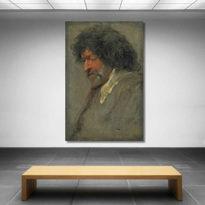 Studio Capo Di Un Uomo Anthony van Dyck avd34 quadro stampato su tela