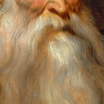 Testa Di Studio Di Un Vecchio Con La Barba Bianca Anthony van Dyck avd106 quadro stampato su tela