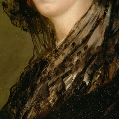 La Signora Amalia Bonells De Costa Francisco de Goya fgy14 quadro stampato su tela