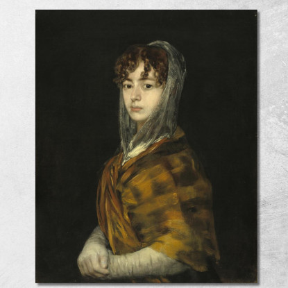 La Signora Sabasa Garcia Francisco de Goya fgy58 quadro stampato su tela