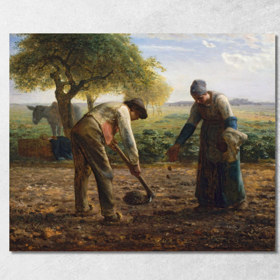 Piantatrici Di Patate Jean-François Millet jfm53 quadro stampato su tela