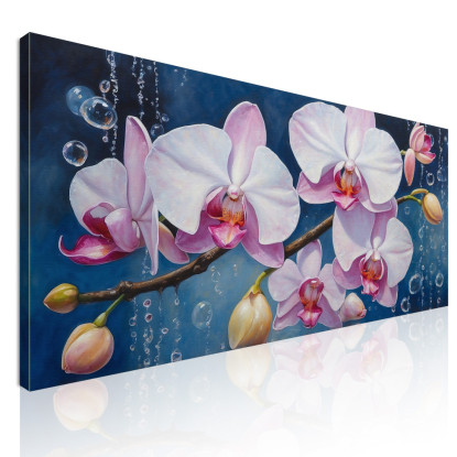 Quadro Botanico Orchidee Bianche E Rosa Con Bolle Su Sfondo Blu  bow23 quadro stampato su tela