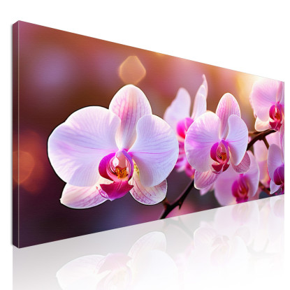 Quadro Botanico Orchidee Rosa Illuminate Al Tramonto  bow26 quadro stampato su tela