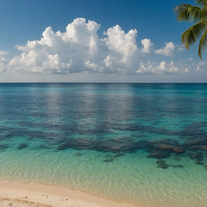 Quadro Paesaggio Mare Spiaggia Tropicale Tranquilla Con Mare Trasparente E Palme Rigogliose  seal35 quadro stampato su tela