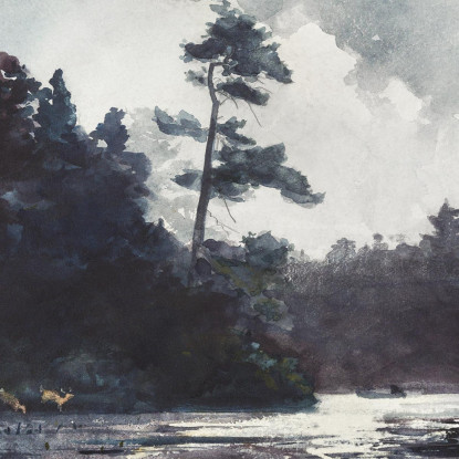Adirondack Lake Winslow Homer canvas print