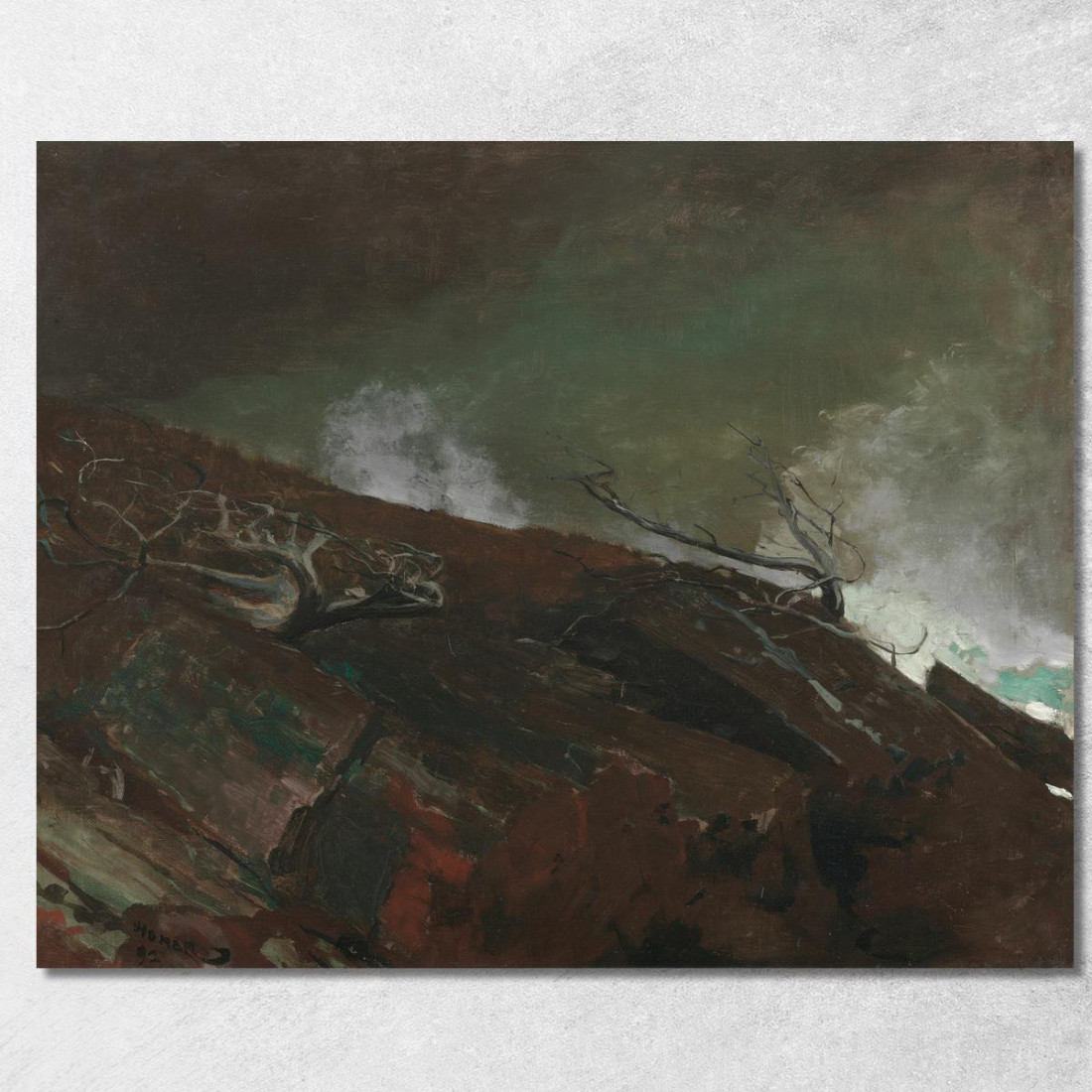 Costa Del Maine Winslow Homer quadro stampato su tela