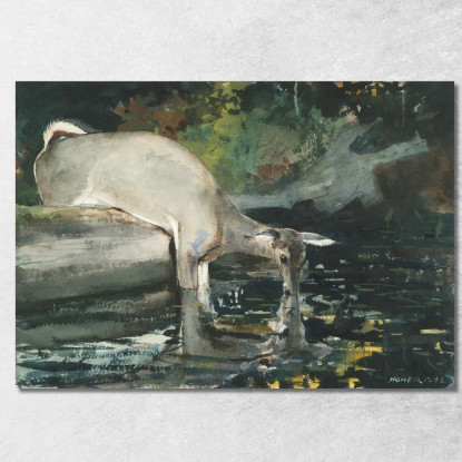 Deer Drinking Winslow Homer canvas print