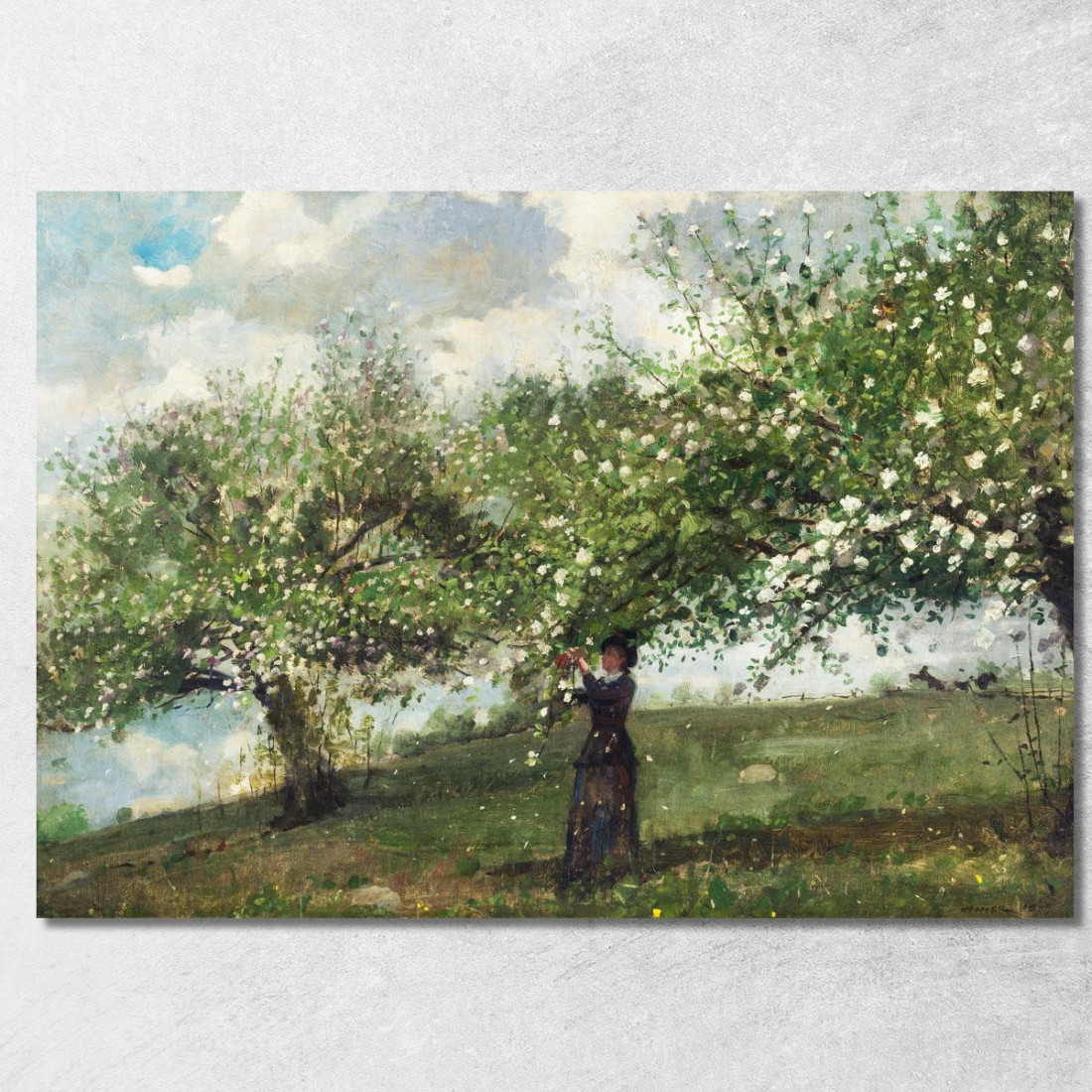 Girl Picking Apple Blossoms Winslow Homer canvas print