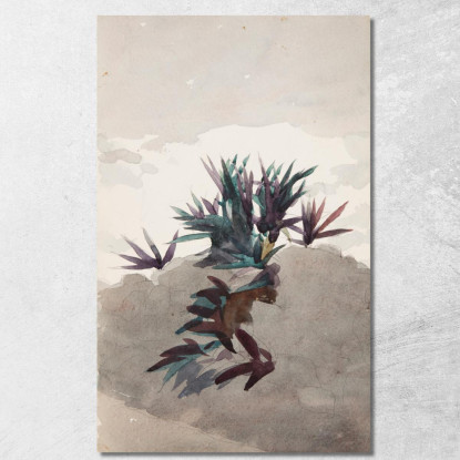 Hügel Mit Maguey-Büscheln Winslow Homer drucken auf leinwand