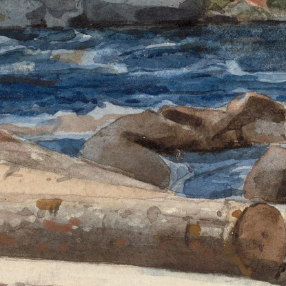 Fiume Hudson Winslow Homer quadro stampato su tela