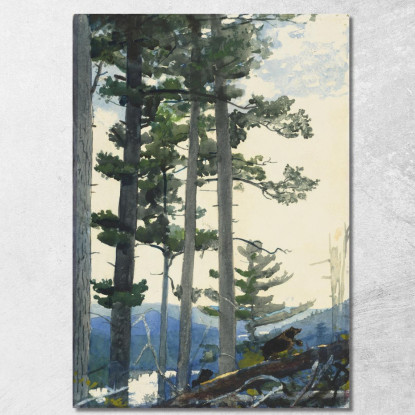 Alte Siedler Winslow Homer drucken auf leinwand