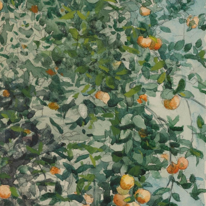 Orangers Et Porte Winslow Homer tableau impression sur toile