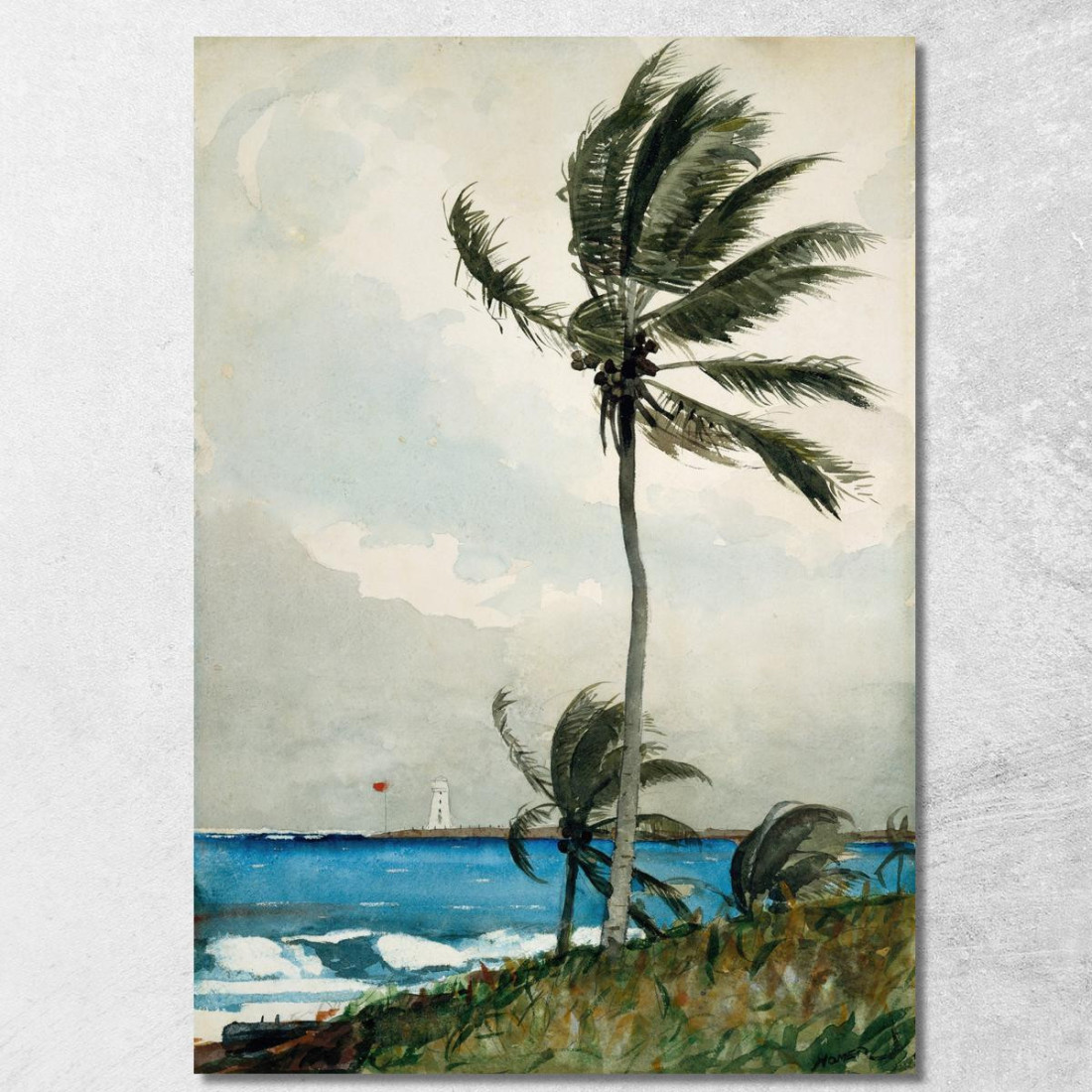 Palmier Nassau Winslow Homer tableau impression sur toile