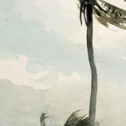 Palme Nassau Winslow Homer drucken auf leinwand