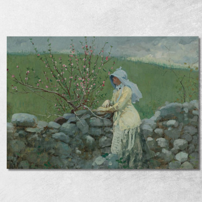 Fiori Di Pesco Winslow Homer quadro stampato su tela