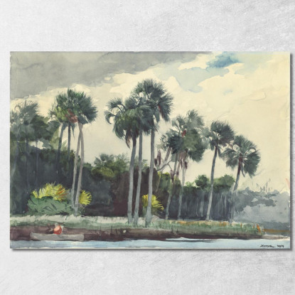 Camicia Rossa Homosassa Florida Winslow Homer quadro stampato su tela