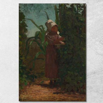 Il Raccoglitore Di Fagioli Winslow Homer quadro stampato su tela