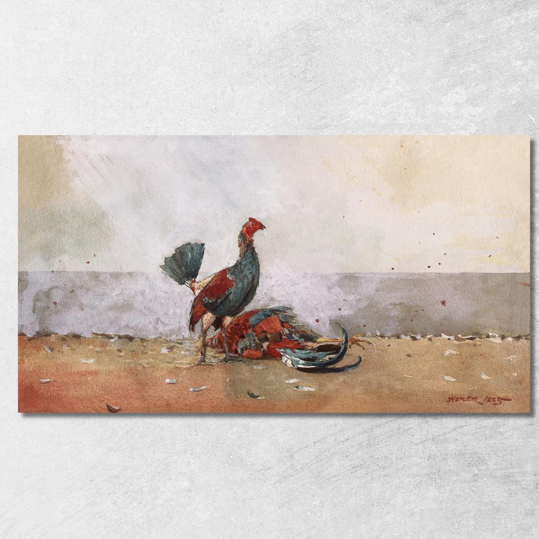 La Lotta Dei Galli Winslow Homer quadro stampato su tela