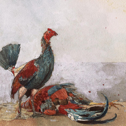 La Lotta Dei Galli Winslow Homer quadro stampato su tela