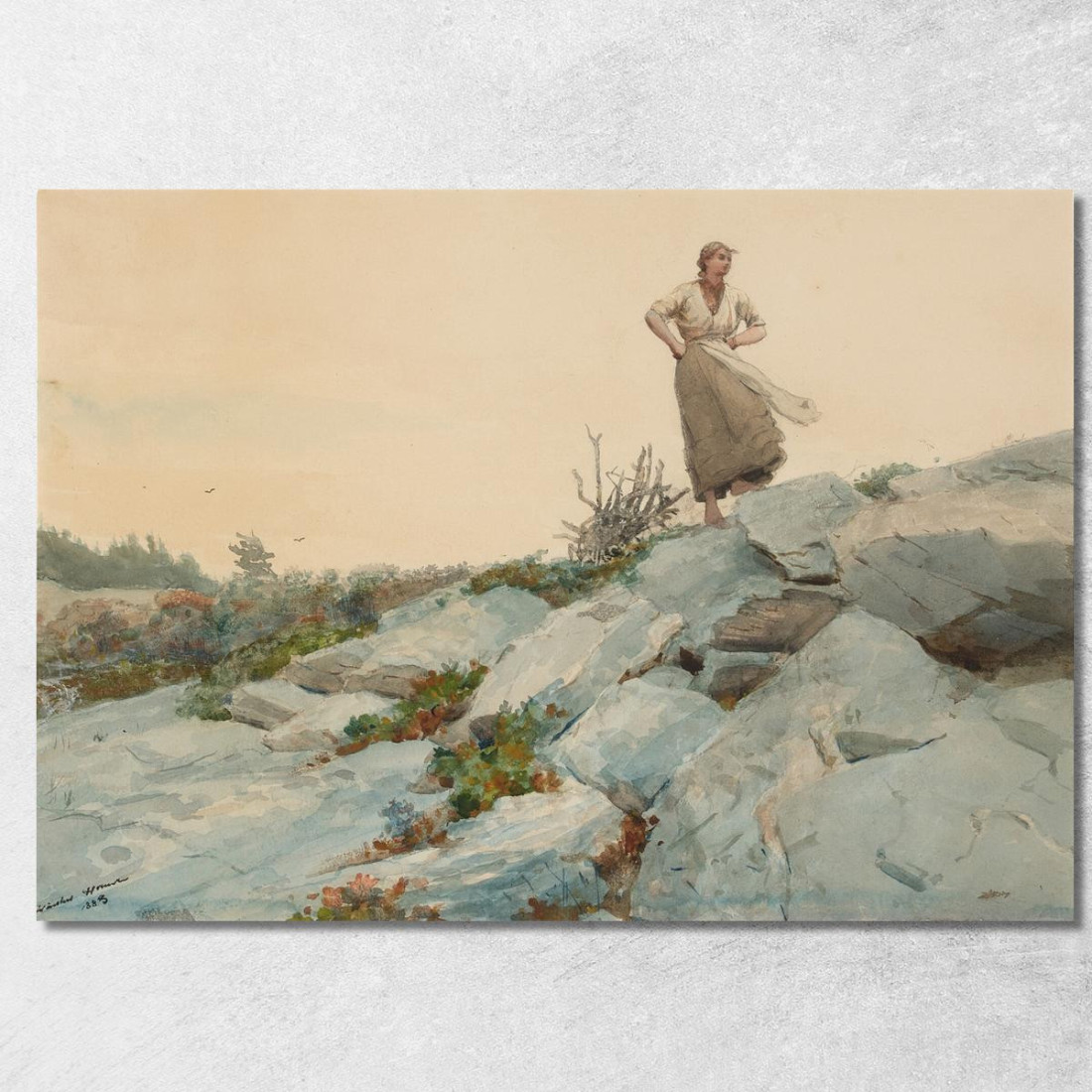Il Raccoglitore Di Froci Winslow Homer quadro stampato su tela
