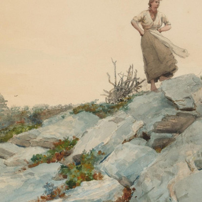 Il Raccoglitore Di Froci Winslow Homer quadro stampato su tela
